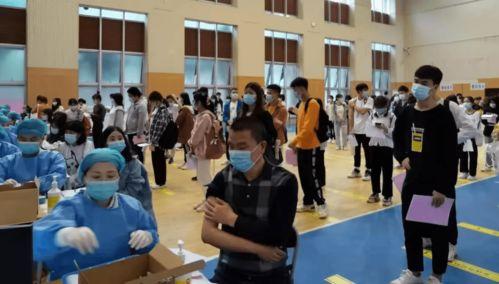 曲阜最新爆料消息新闻报道,揭秘孔庙周边历史遗迹保护与发展新动向